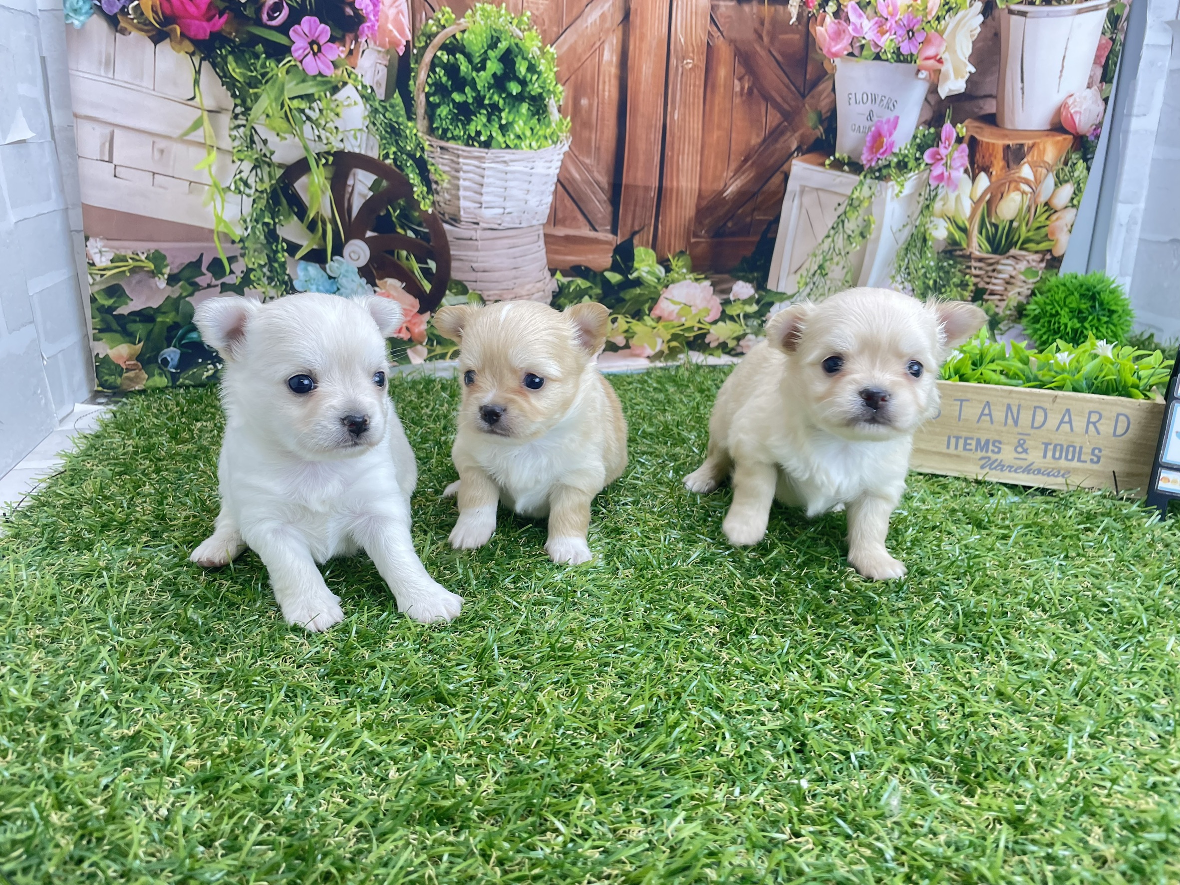 赤ちゃん写真2-3