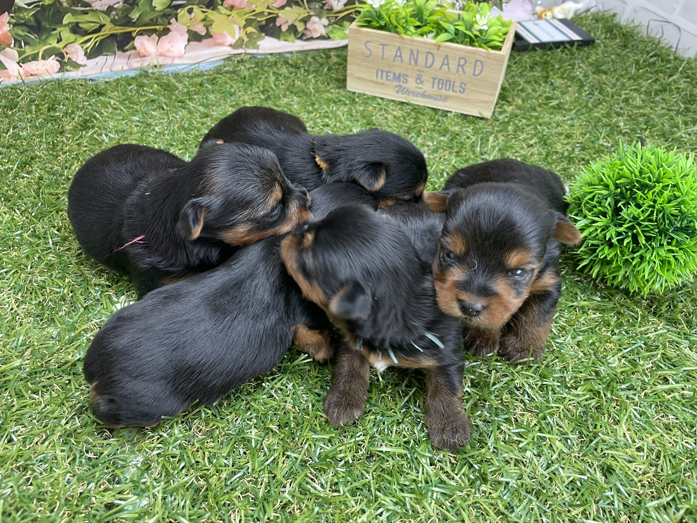赤ちゃん写真1-3