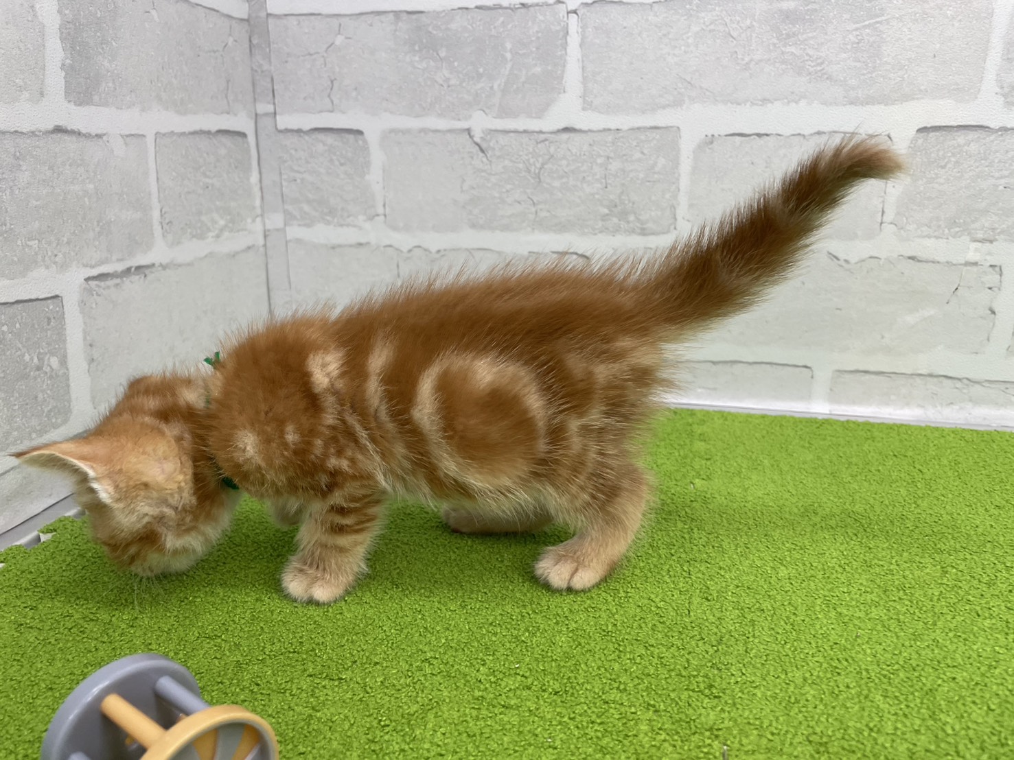 赤ちゃん写真2-2