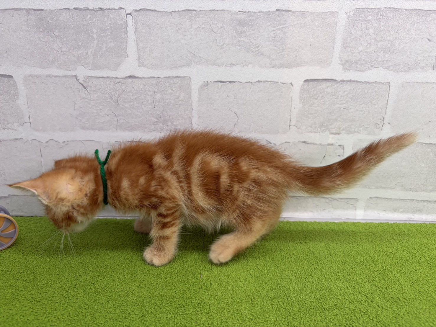 赤ちゃん写真3-2