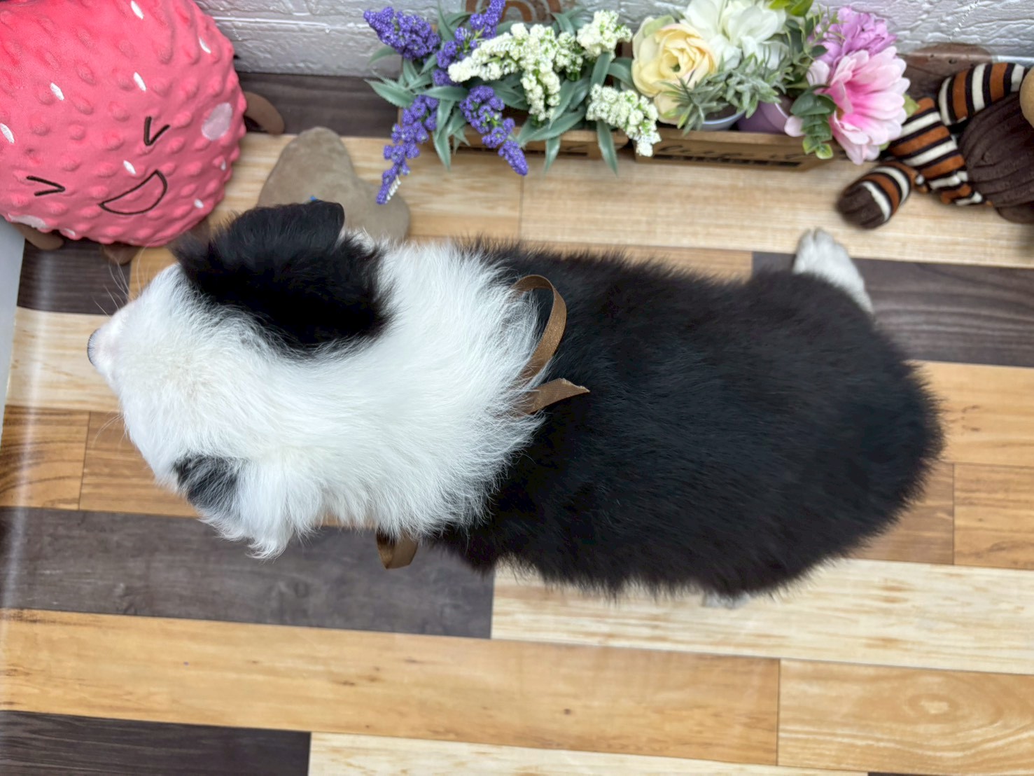 赤ちゃん写真3-3