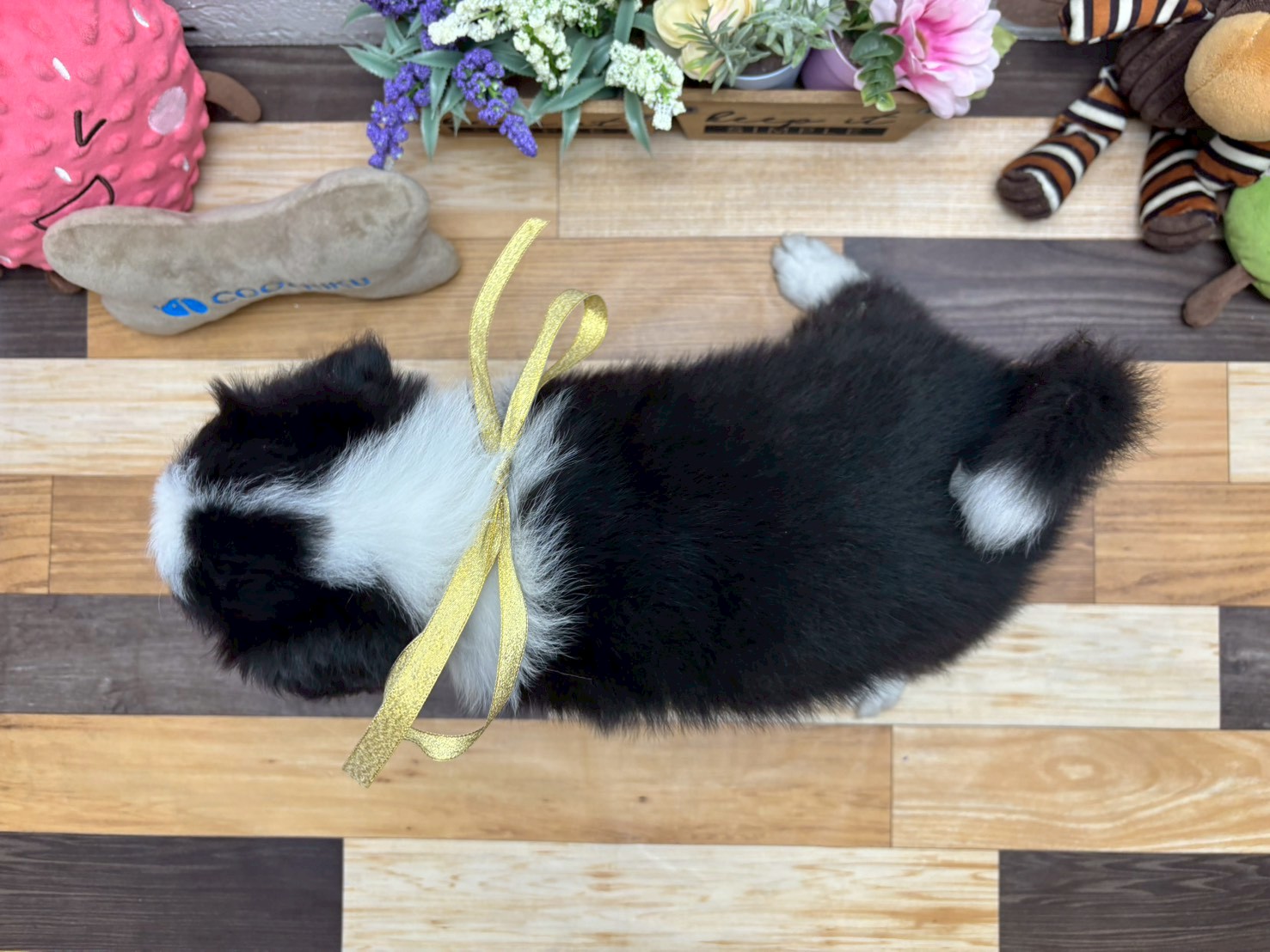 赤ちゃん写真3-3