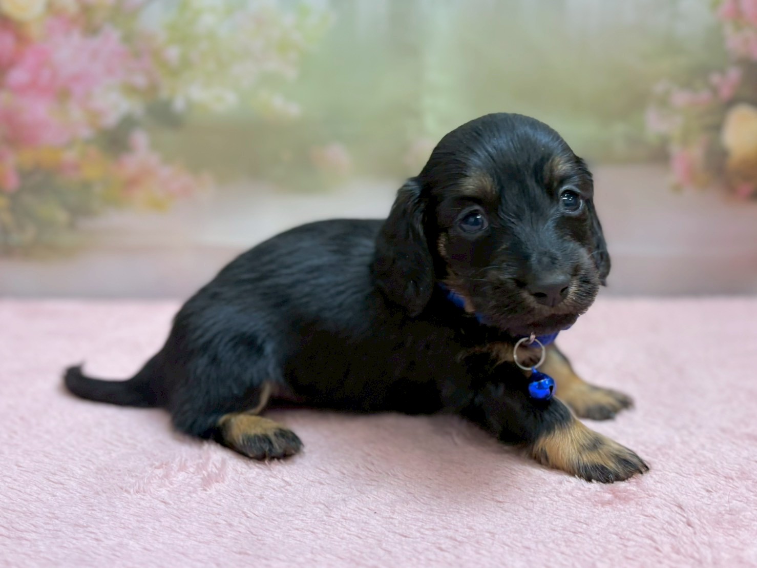 赤ちゃん写真2-2