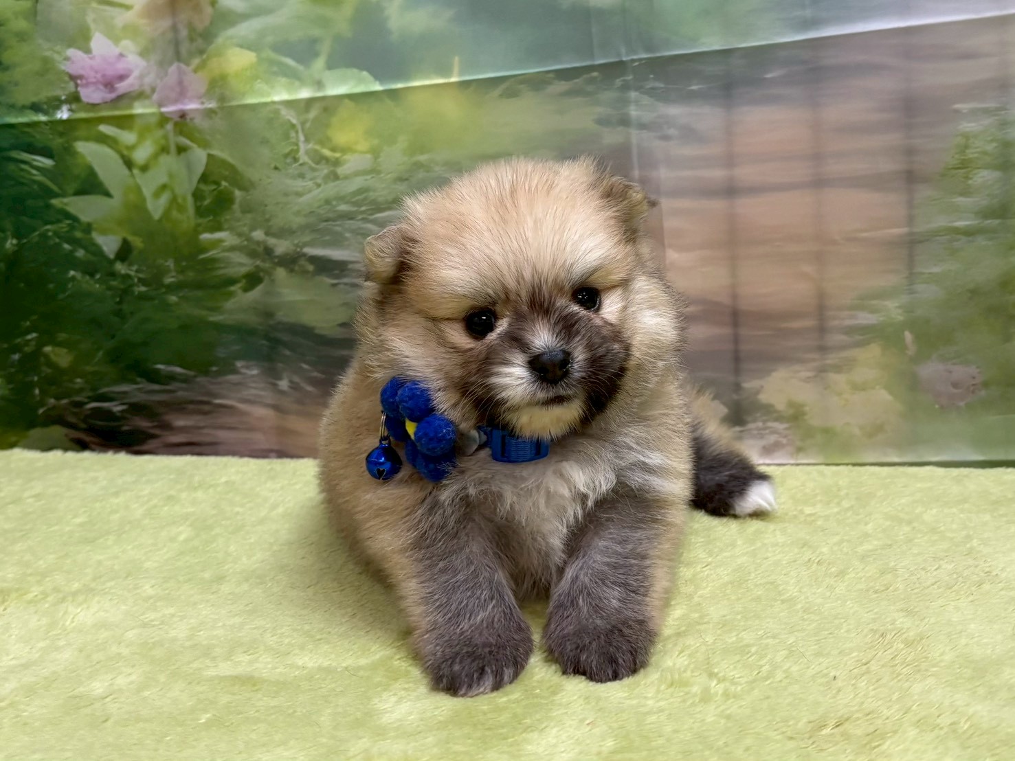 赤ちゃん写真2-1
