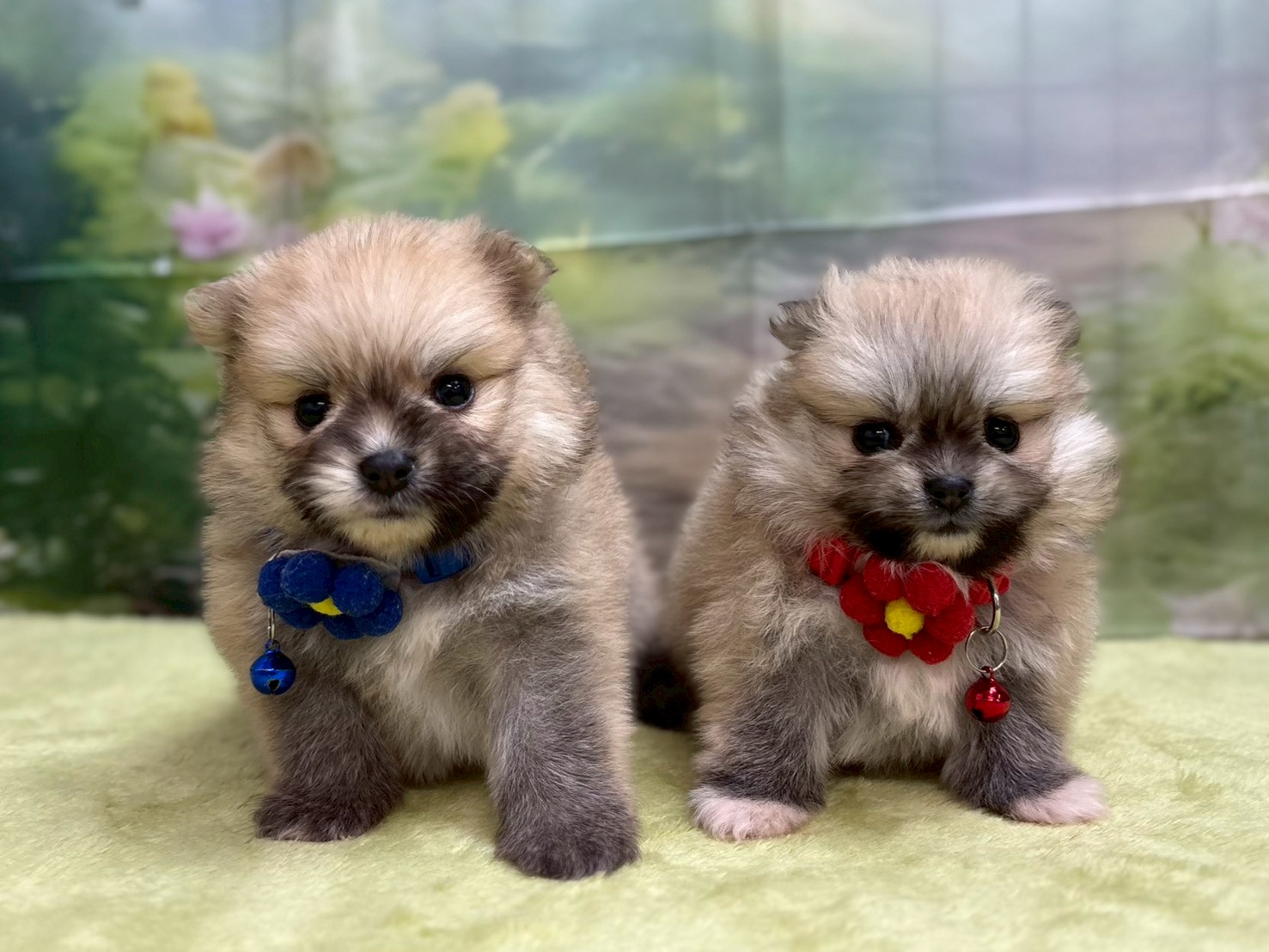 赤ちゃん写真2-3