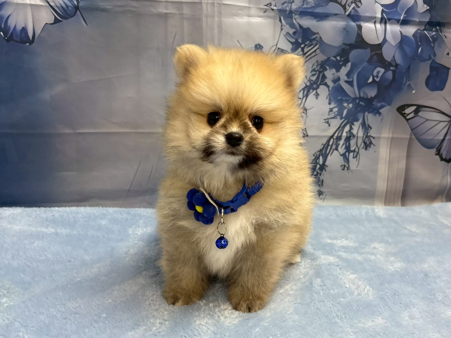 赤ちゃん写真3-1