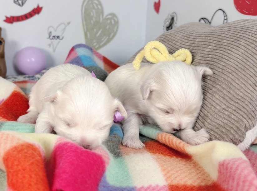 赤ちゃん写真1-3