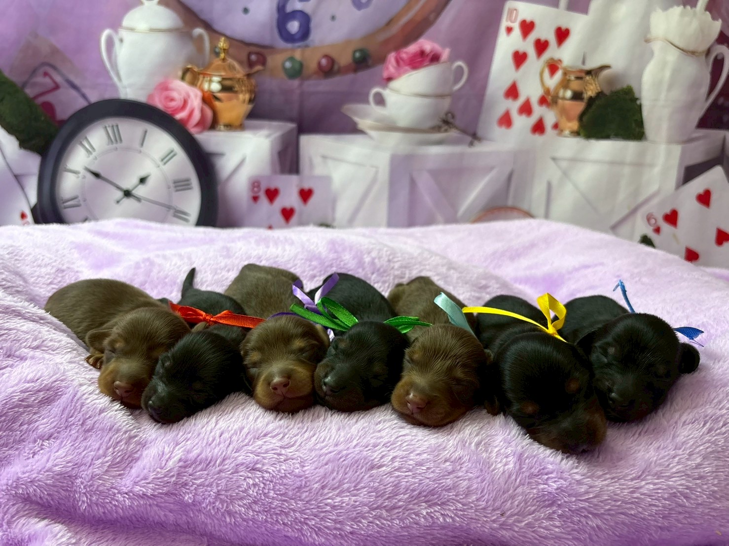 赤ちゃん写真1-3