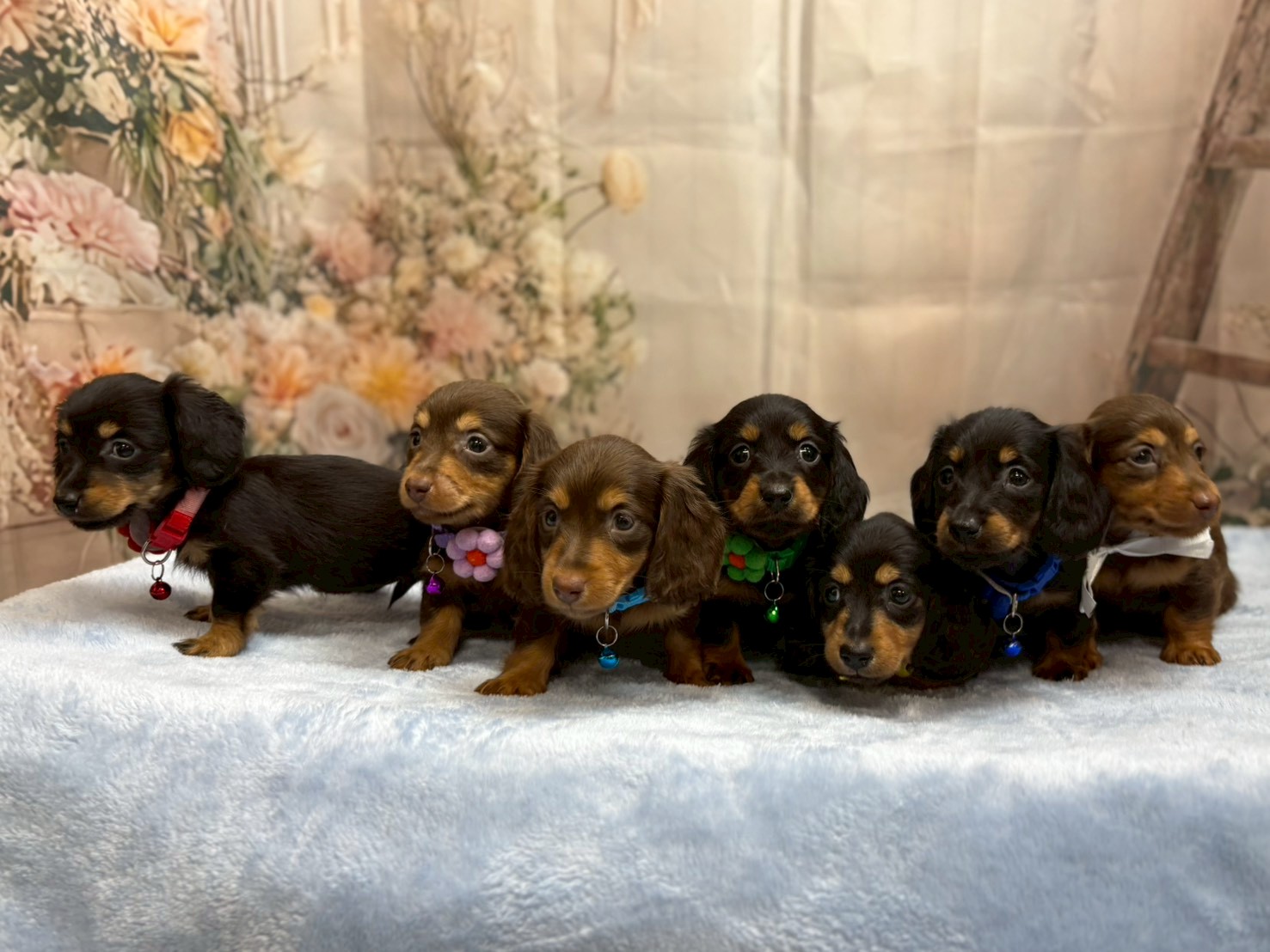 赤ちゃん写真3-3