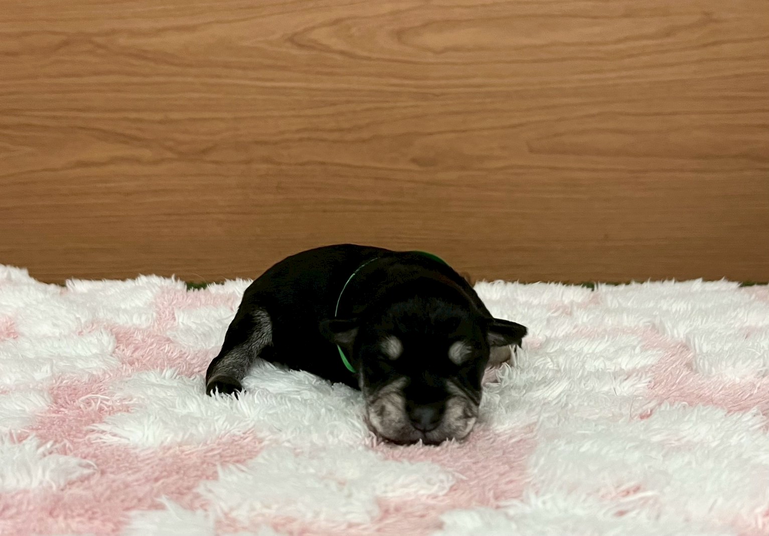 赤ちゃん写真1-1