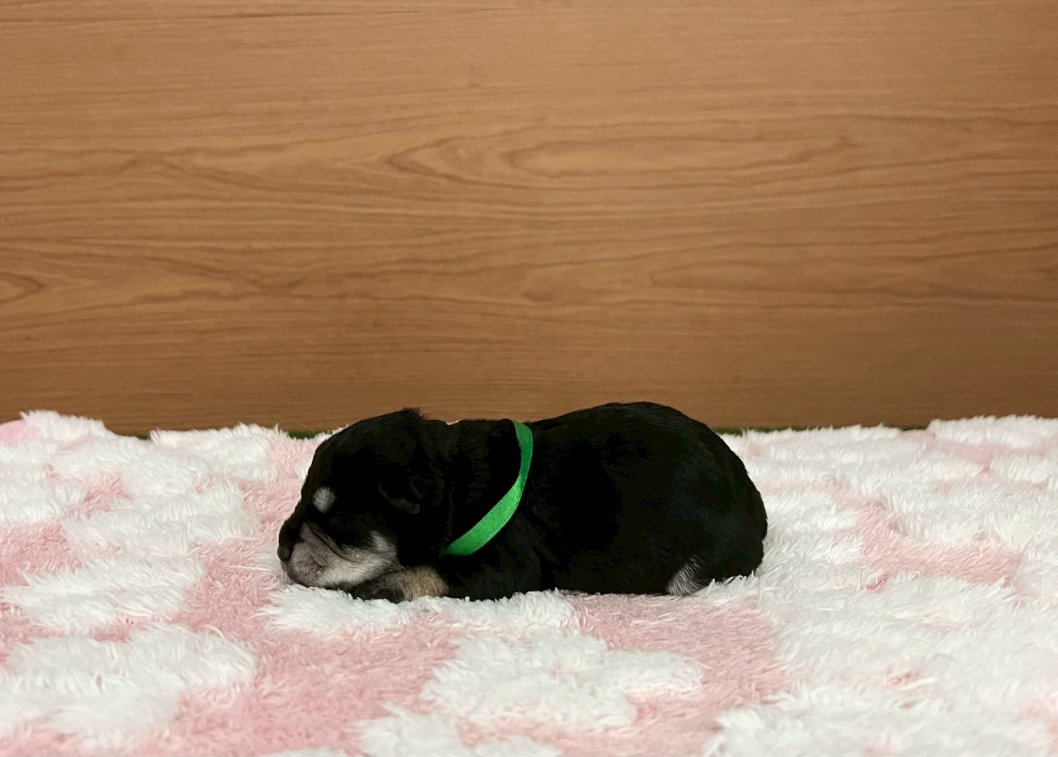 赤ちゃん写真1-2