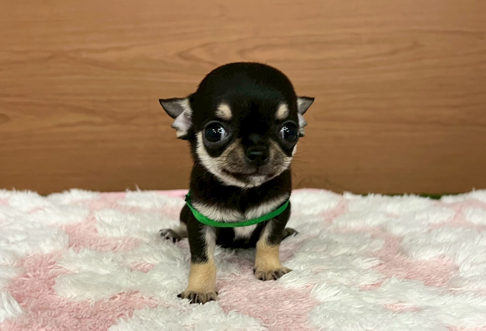 赤ちゃん写真3-1