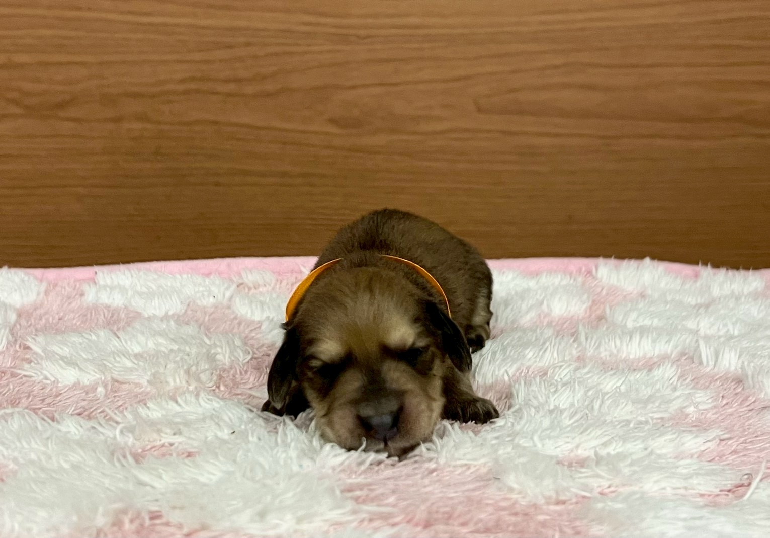 赤ちゃん写真1-1