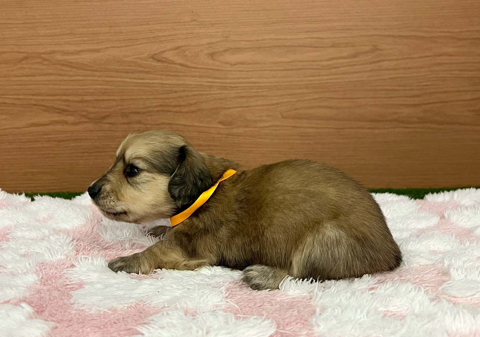 赤ちゃん写真2-2