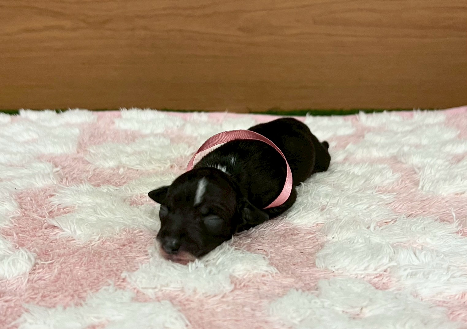 赤ちゃん写真1-1