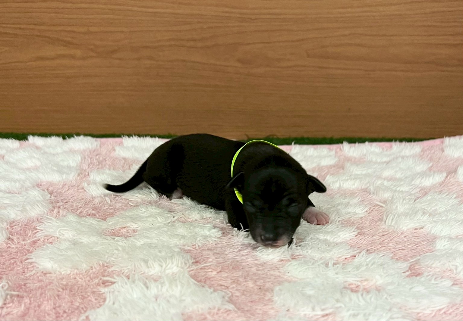 赤ちゃん写真1-1