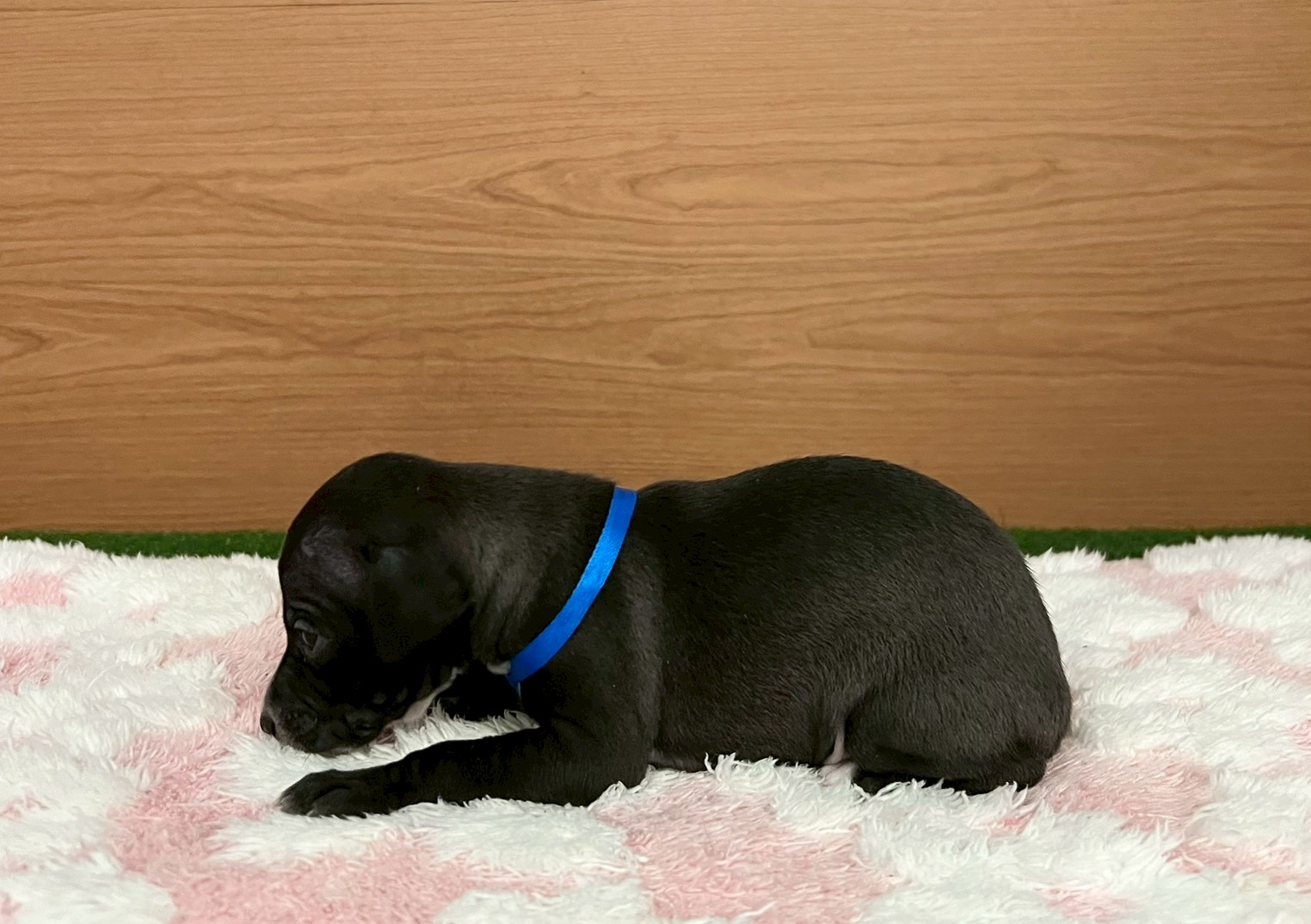 赤ちゃん写真2-2