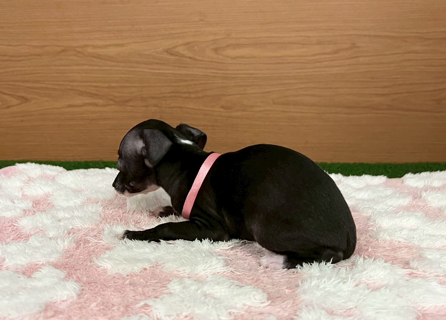 赤ちゃん写真3-2