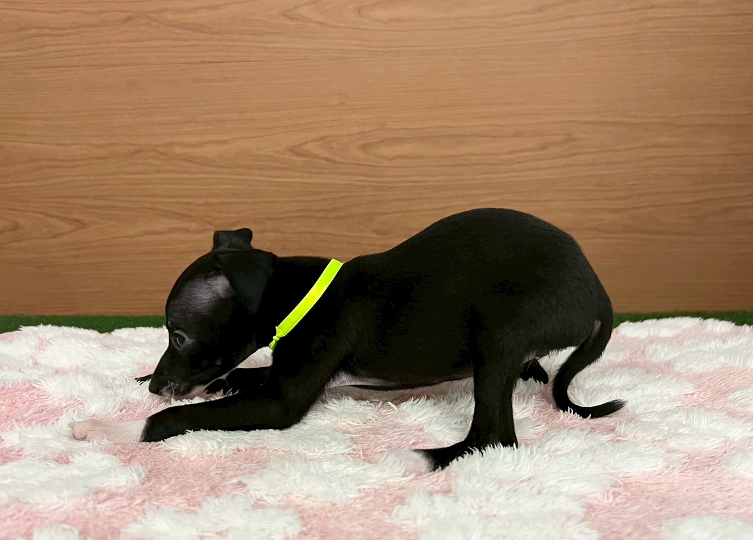 赤ちゃん写真3-2