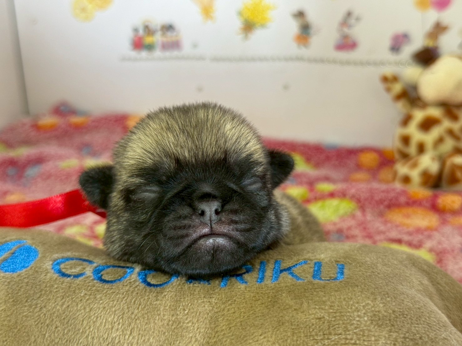 赤ちゃん写真1-1