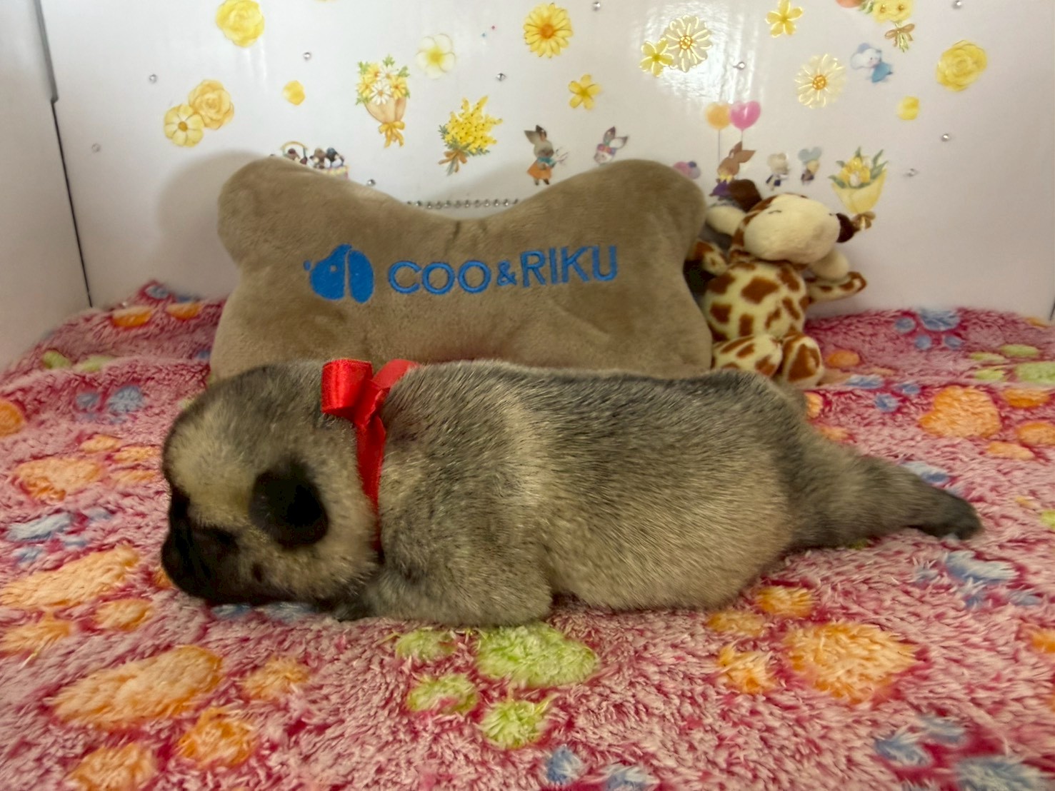 赤ちゃん写真1-2