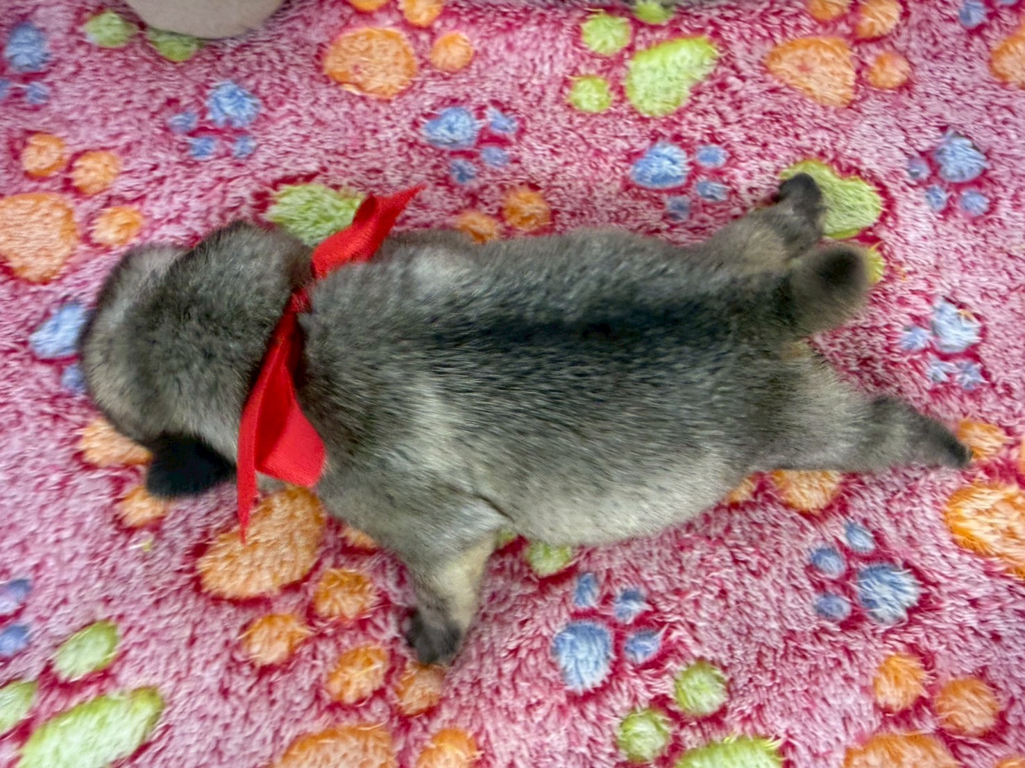 赤ちゃん写真1-3