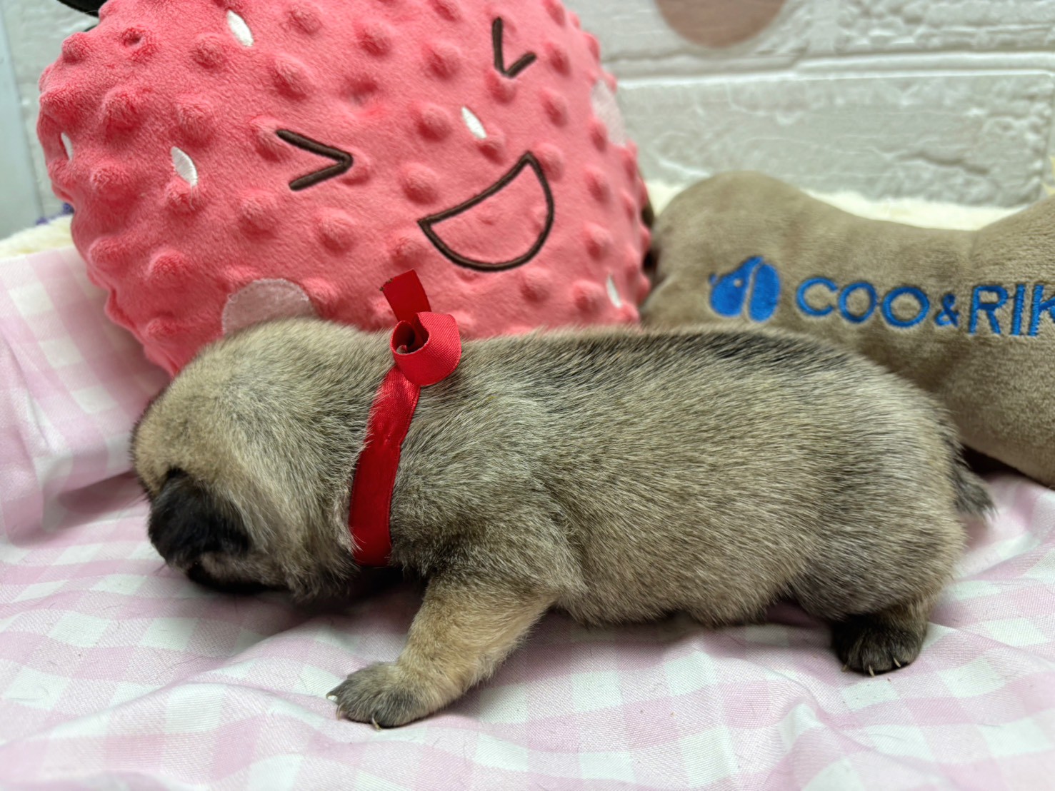 赤ちゃん写真2-2