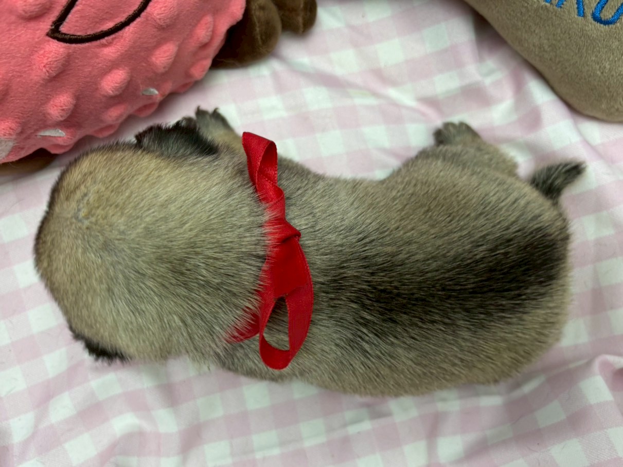 赤ちゃん写真2-3