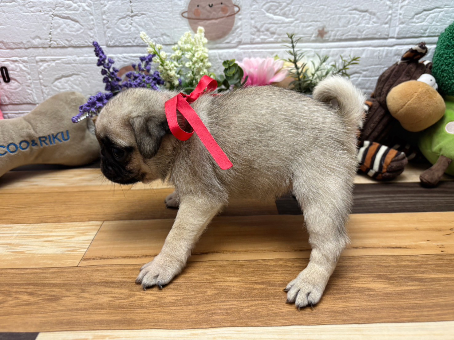 赤ちゃん写真3-2