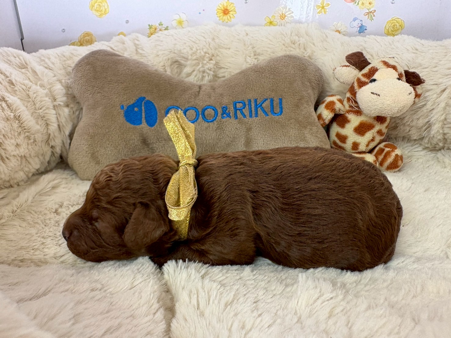赤ちゃん写真1-2