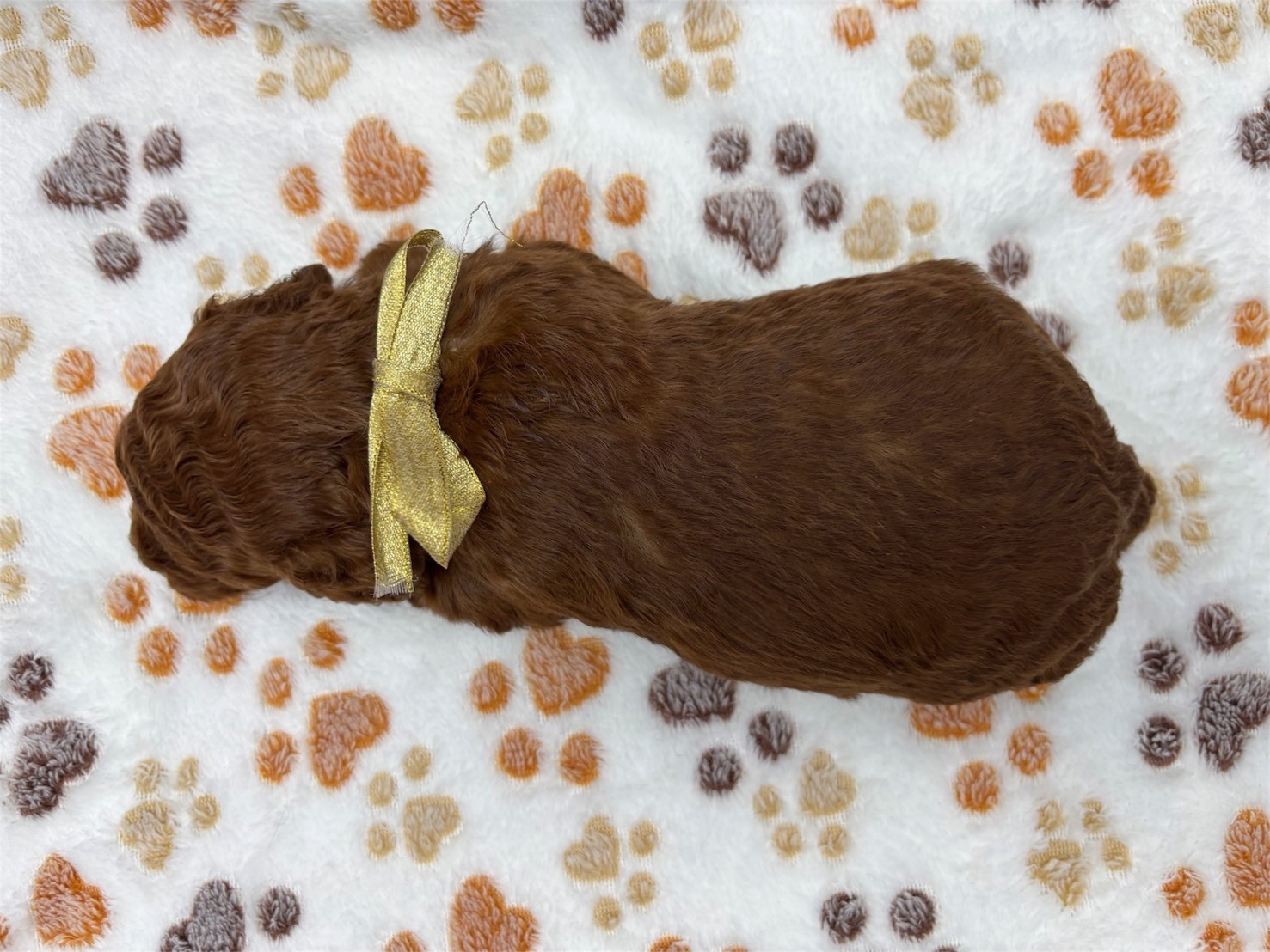 赤ちゃん写真2-3