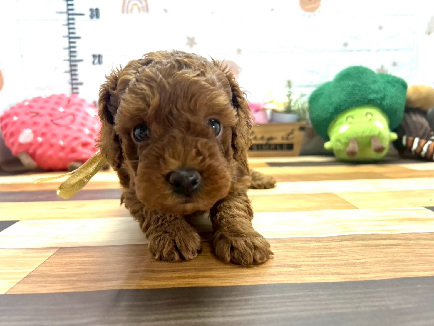 赤ちゃん写真3-1