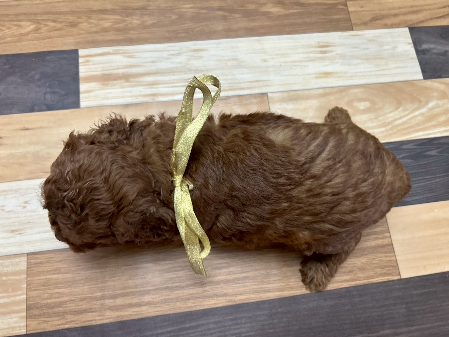 赤ちゃん写真3-3