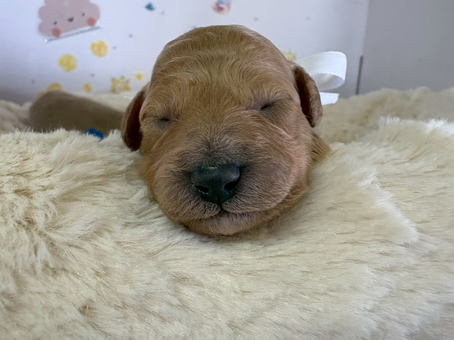 赤ちゃん写真1-1