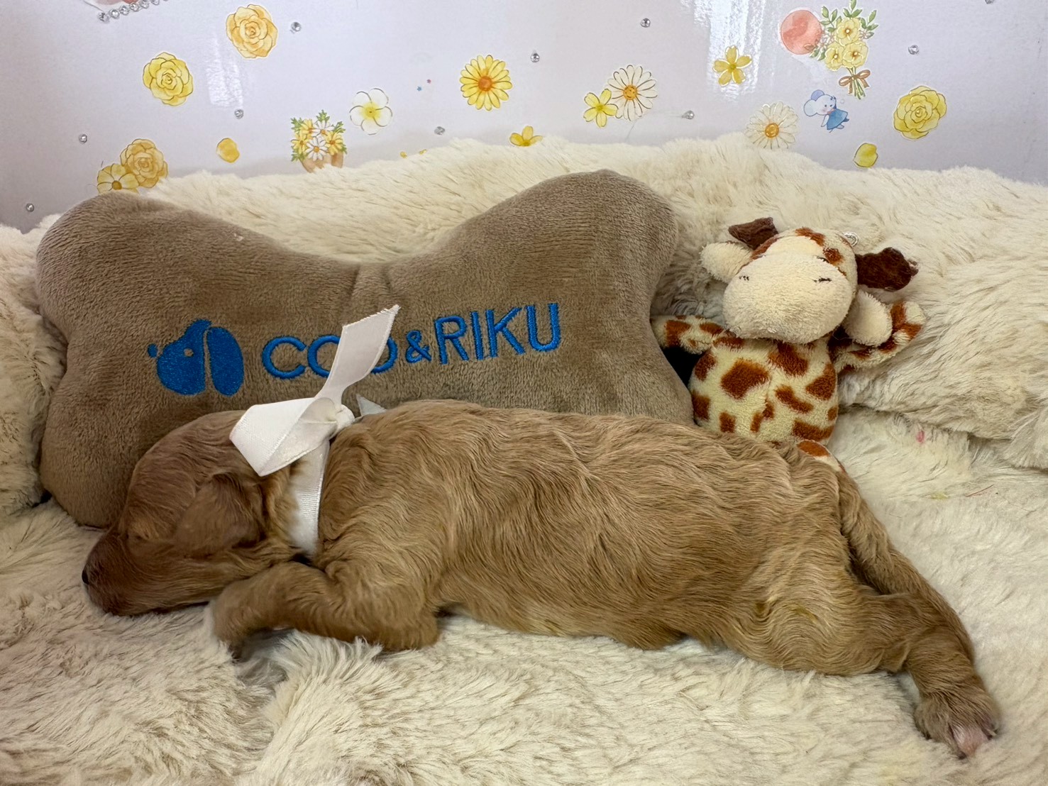 赤ちゃん写真1-2