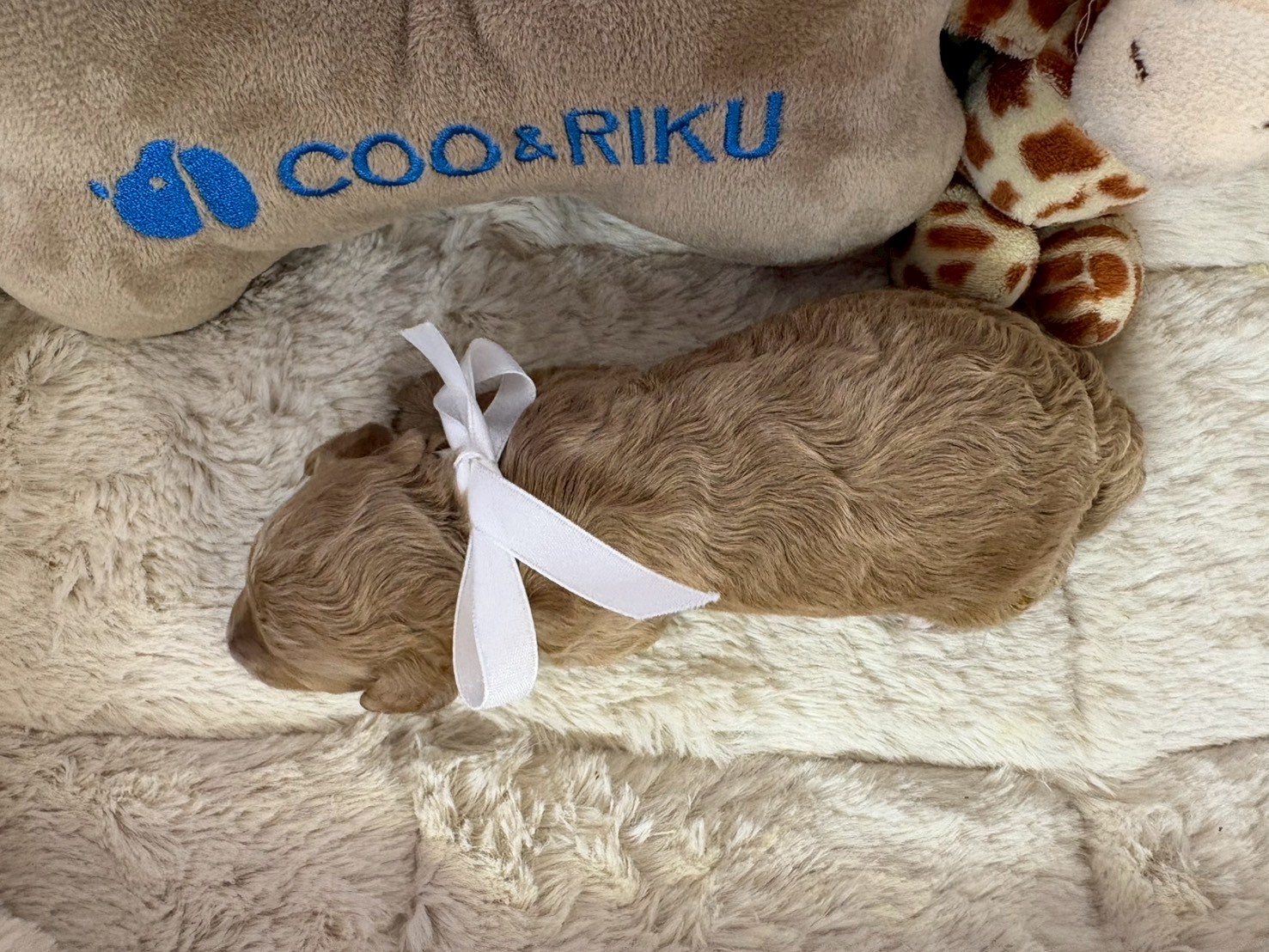 赤ちゃん写真1-3