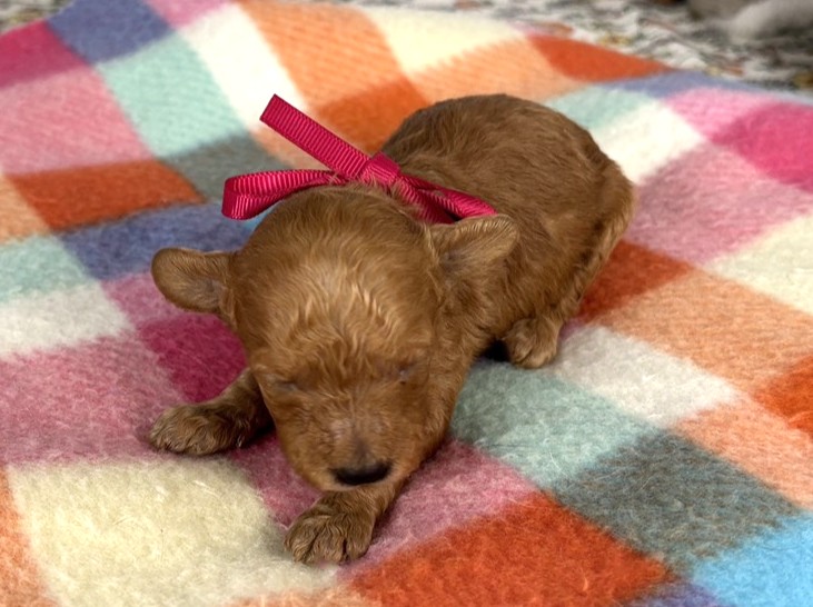 赤ちゃん写真1-1