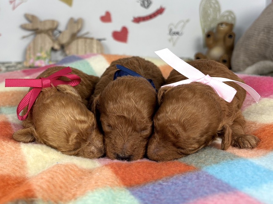 赤ちゃん写真1-3