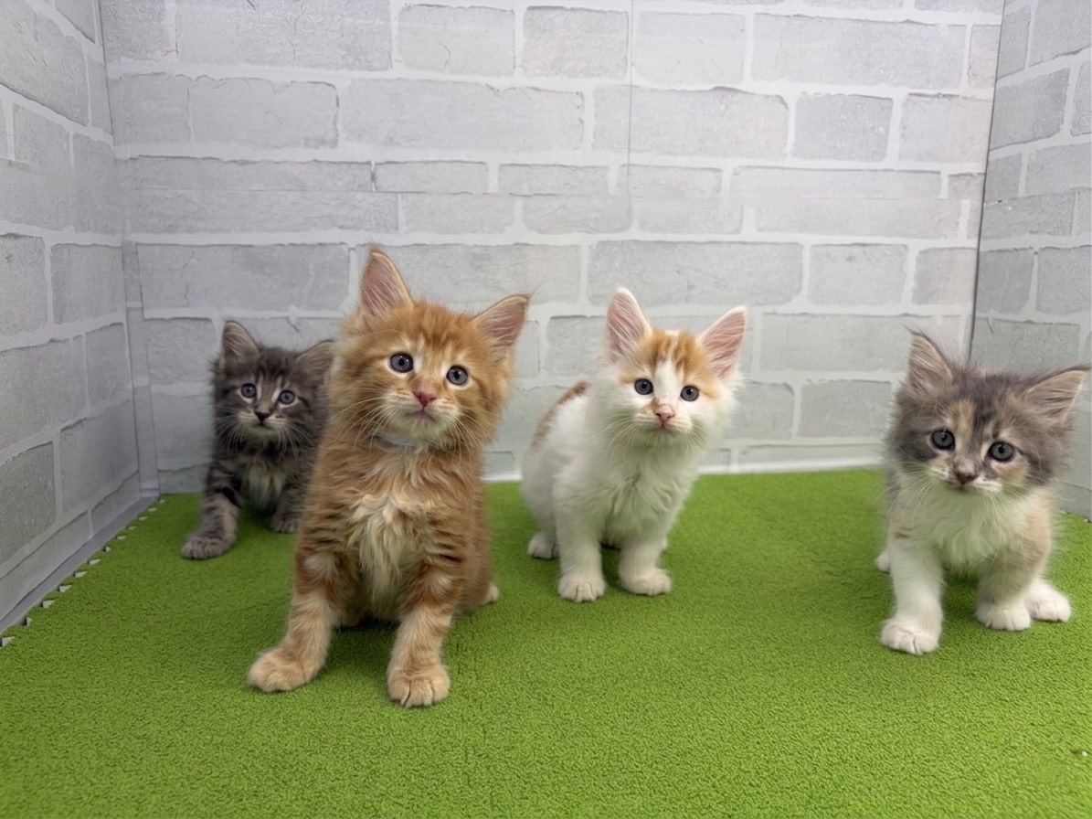 赤ちゃん写真3-3