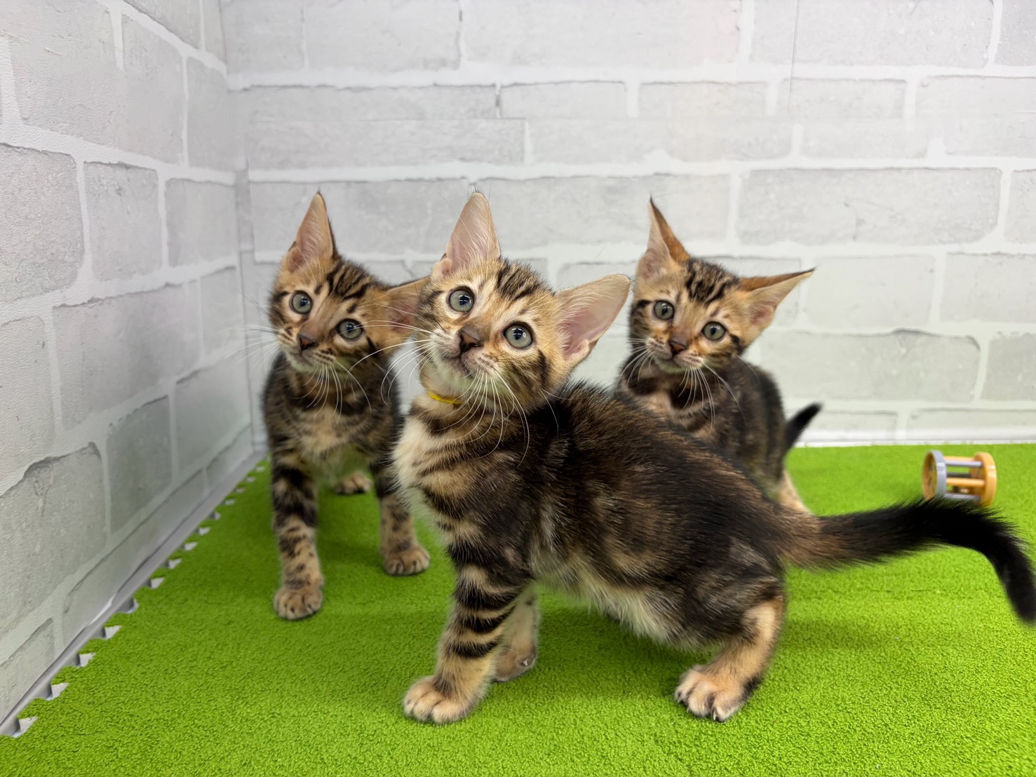 赤ちゃん写真3-3