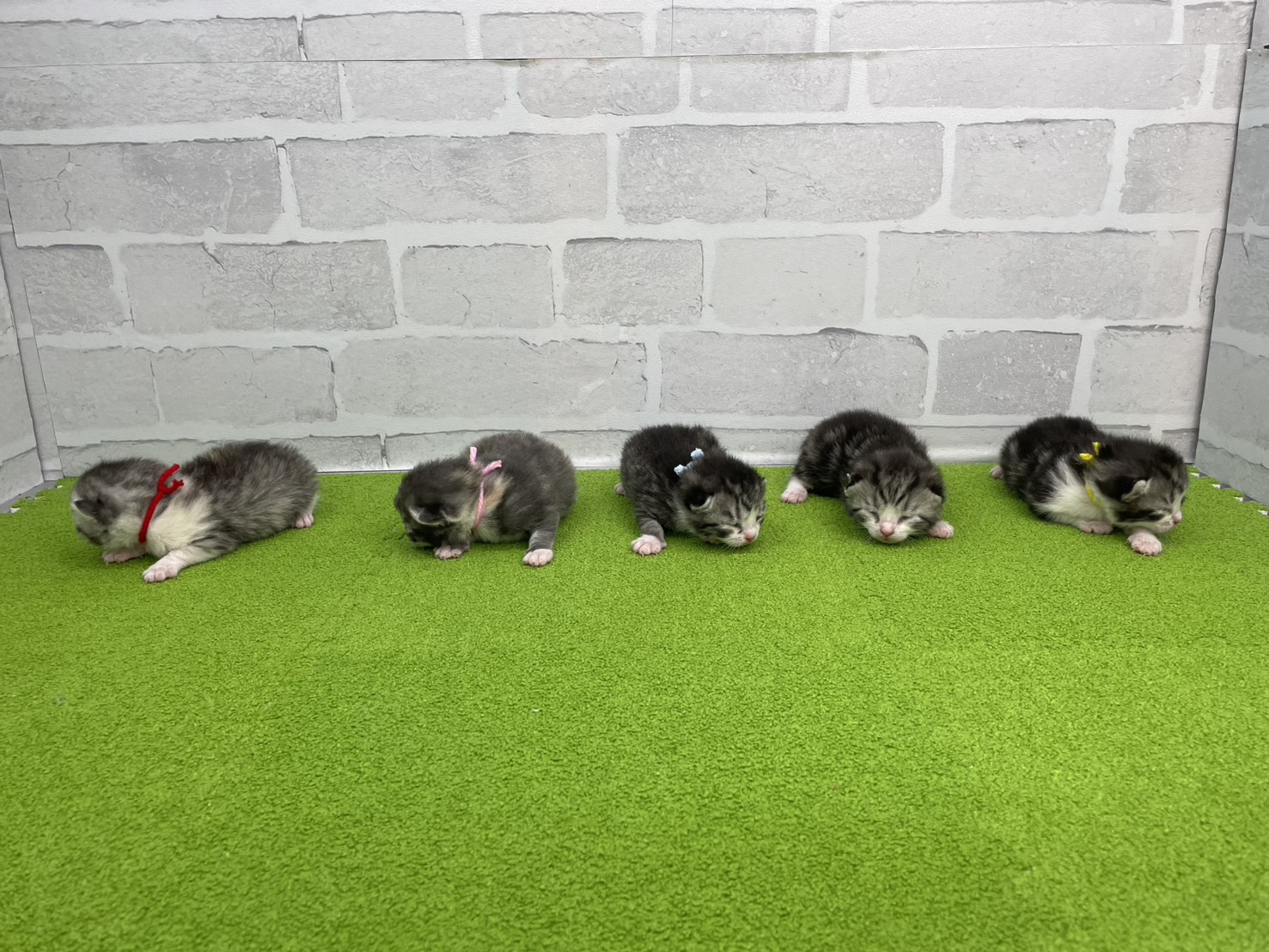 赤ちゃん写真1-3