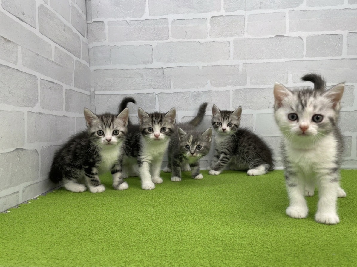 赤ちゃん写真2-3
