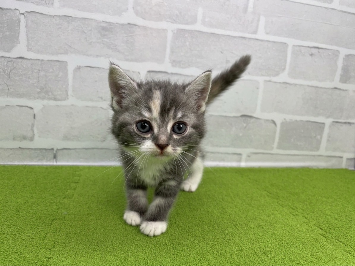 赤ちゃん写真2-1