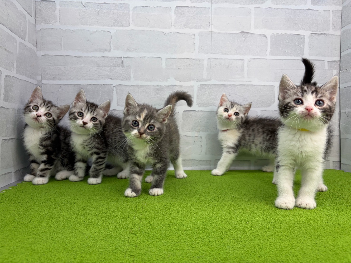 赤ちゃん写真3-3