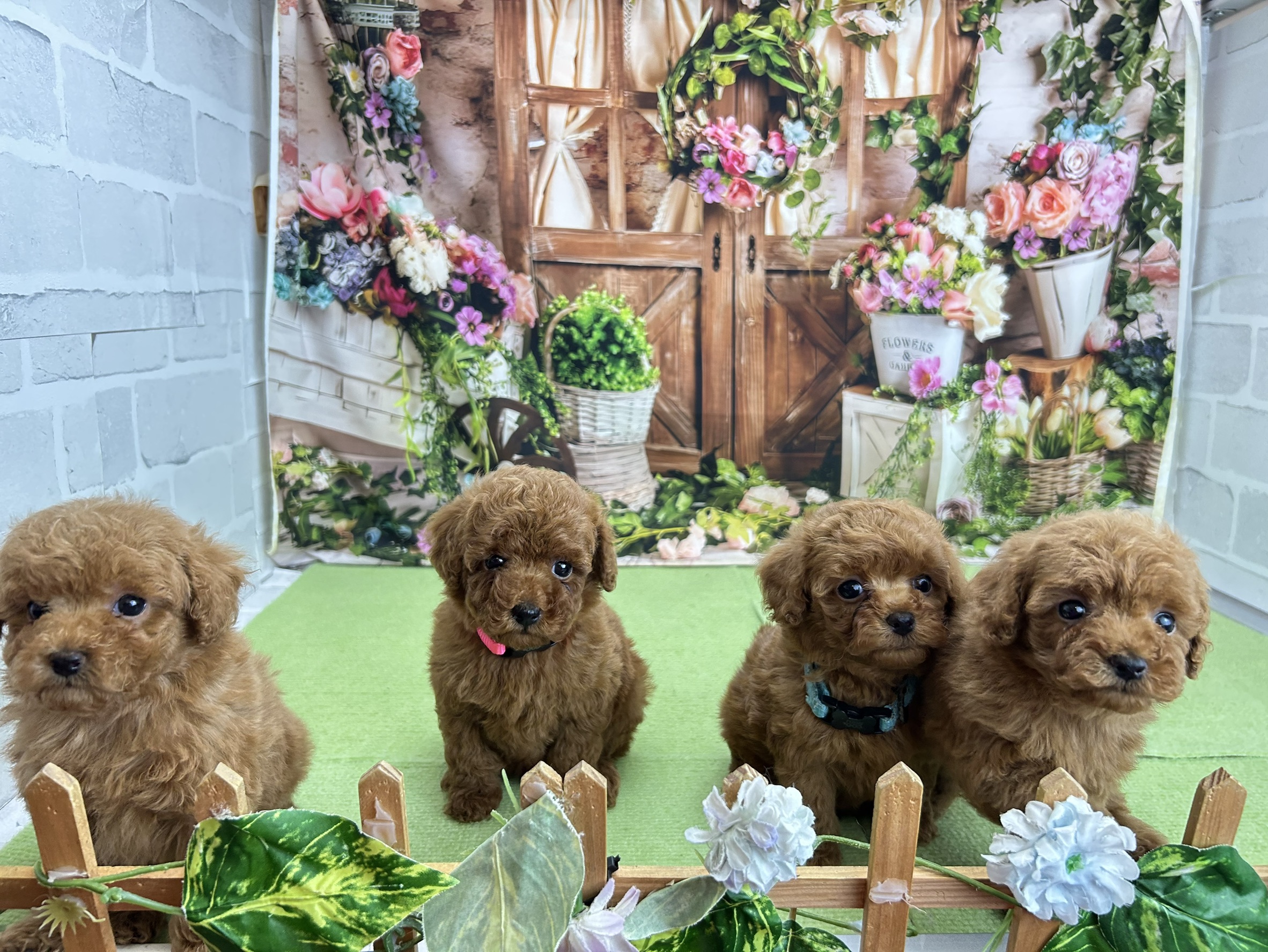 赤ちゃん写真3-3