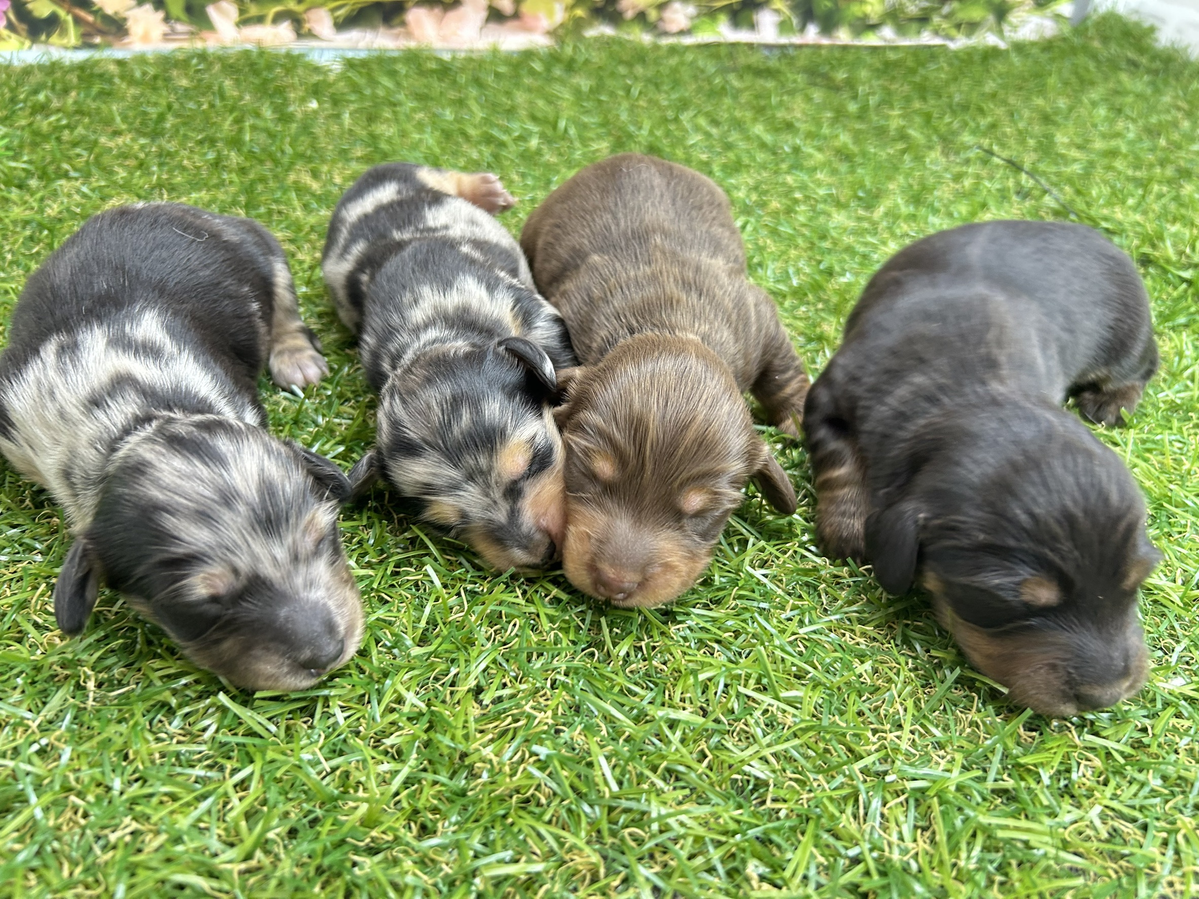 赤ちゃん写真1-3