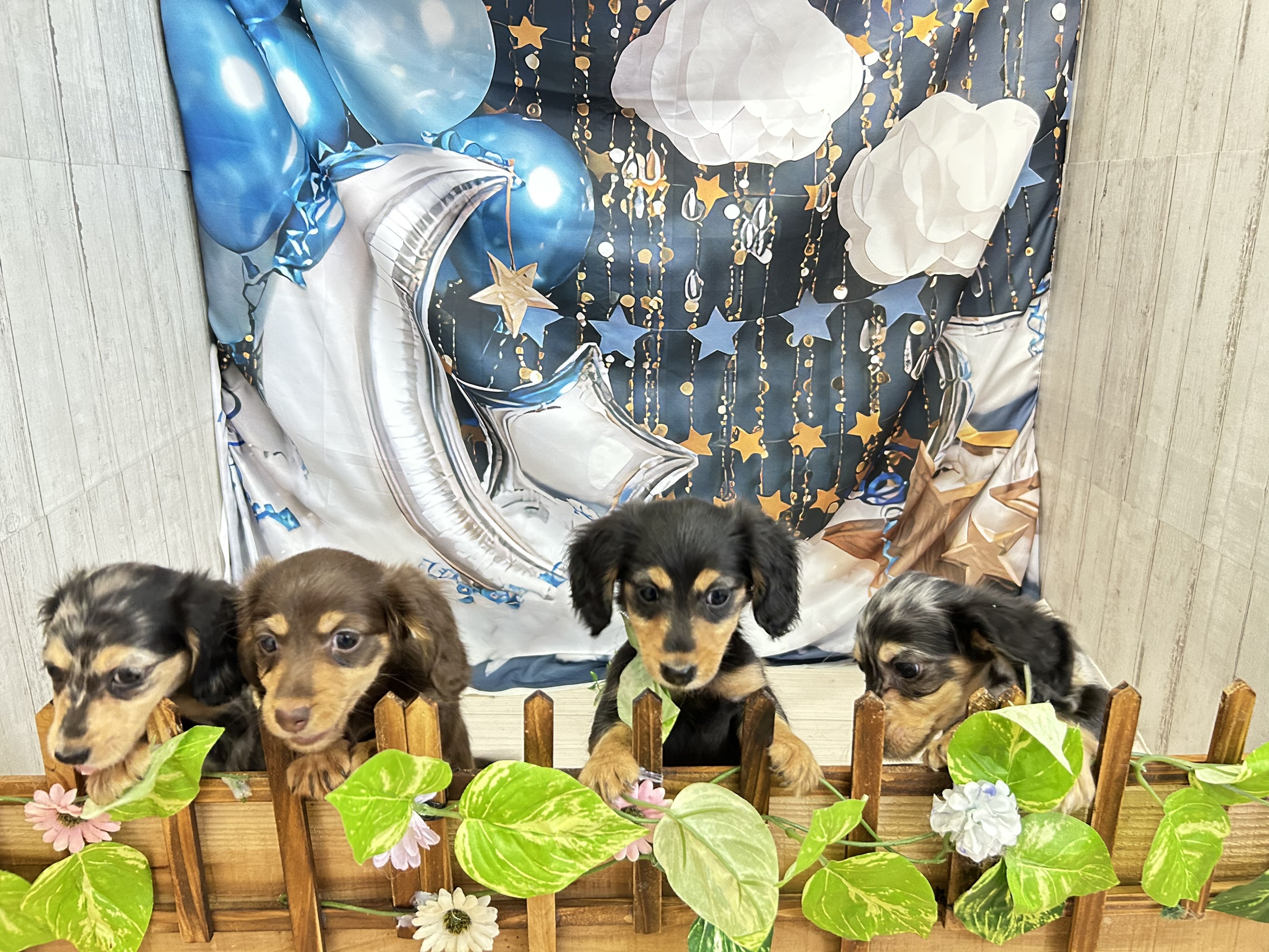 赤ちゃん写真3-3