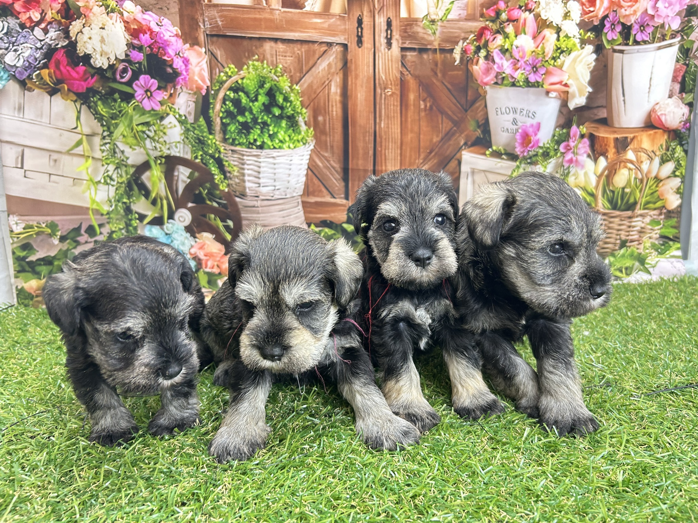 赤ちゃん写真2-3