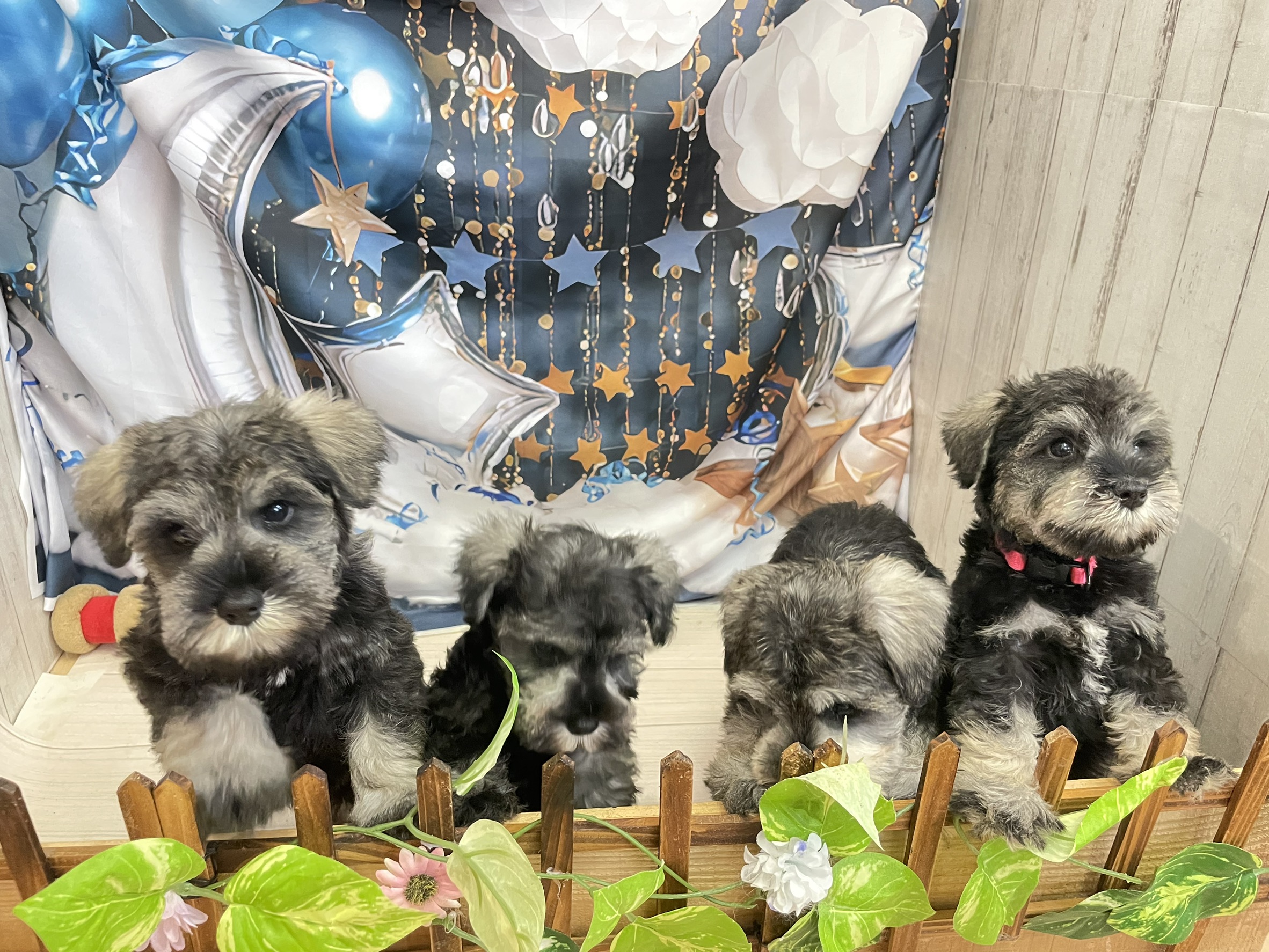 赤ちゃん写真3-3