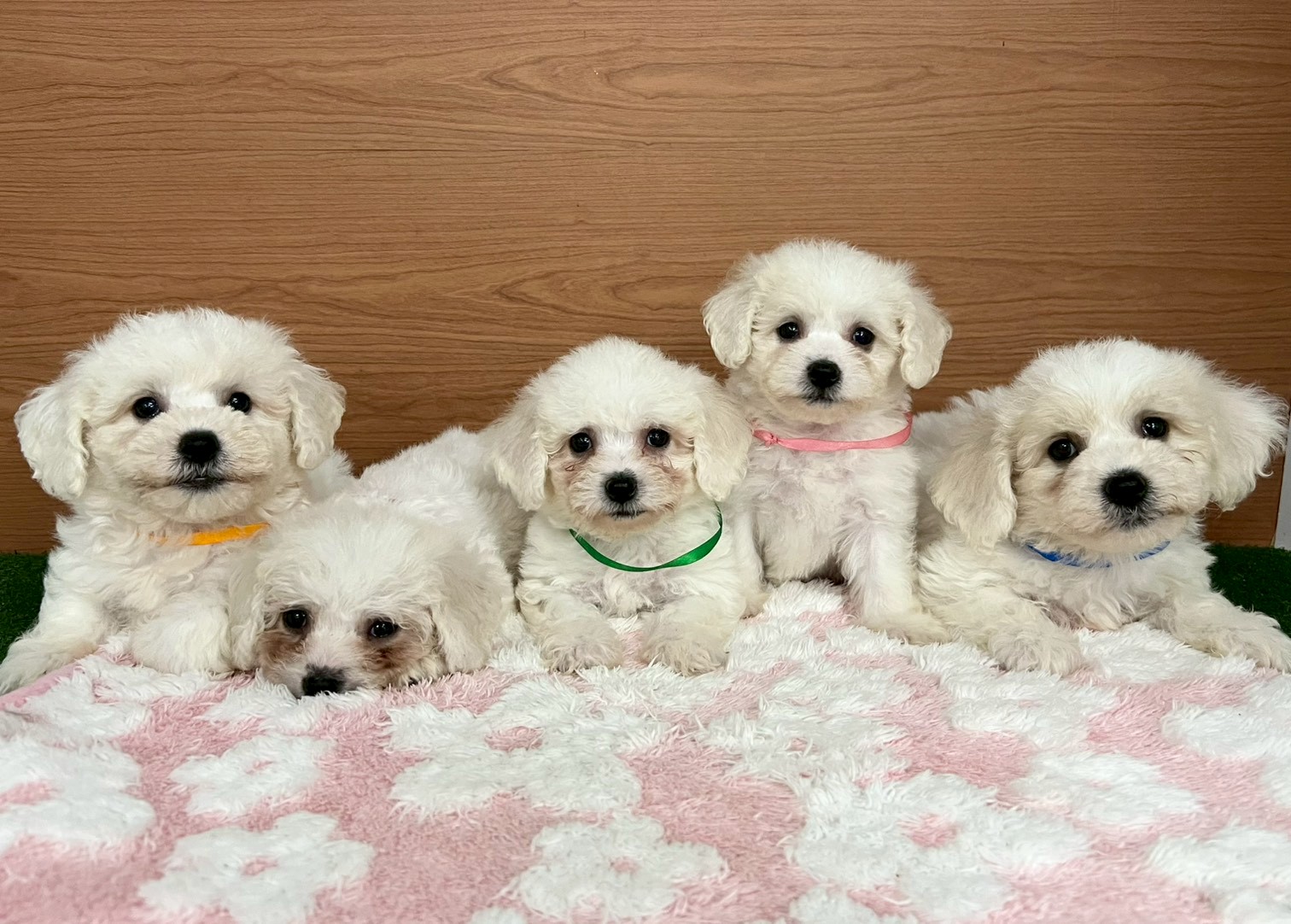 赤ちゃん写真3-3
